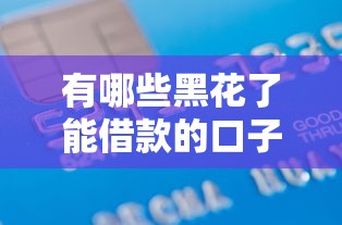 有哪些黑花了能借款的口子，整合5个2025最新有信用卡就能贷款的平台
