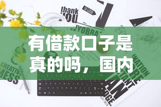 有借款口子是真的吗，国内五大2025最新征信黑户到平台可以借到钱