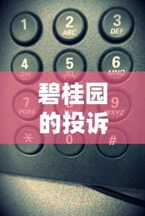 碧桂园的投诉电话号码，推荐五个2025最新比较正规的网贷平台