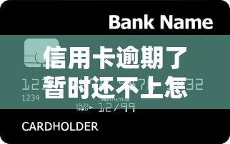 信用卡逾期了暂时还不上怎么办，省内五个2025最新黑平台贷款