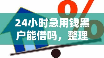 24小时急用钱黑户能借吗，整理五个2025最新优质贷款平台