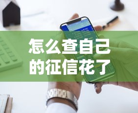 怎么查自己的征信花了，五大2025最新2025回收类秒下的口子