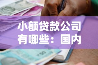 小额贷款公司有哪些：国内常见小额贷款机构类型
