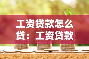 工资贷款怎么贷：工资贷款申请流程及条件