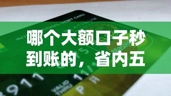 哪个大额口子秒到账的，省内五个2025最新纯信用贷款平台