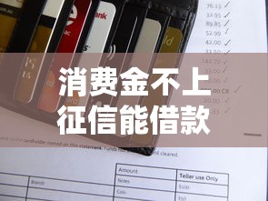 消费金不上征信能借款吗，分析五个2025最新能下款的平台