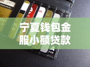 宁夏钱包金服小额贷款有限公司：宁夏钱包金服贷款服务如何申请