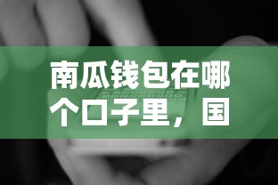南瓜钱包在哪个口子里，国内五大2025最新最好贷款的平台
