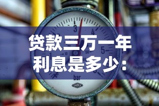 贷款三万一年利息是多少：3万借款年息具体要多少