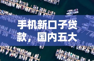 手机新口子贷款，国内五大2025最新不查征信的网络贷款平台