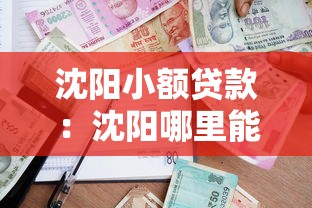 沈阳小额贷款：沈阳哪里能快速申请小额借款