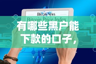 有哪些黑户能下款的口子，国内五大2025最新哪些是正规的网贷平台