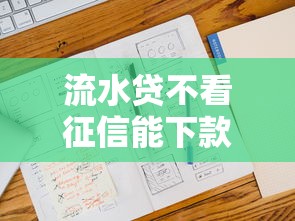流水贷不看征信能下款吗，国内五大2025最新网贷平台推荐
