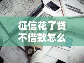 征信花了贷不借款怎么办，分析五个2025最新网贷平台哪些靠谱