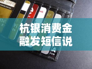 杭银消费金融发短信说起诉该怎么处理呢，五大2025最新贷款平台不看征信不看逾期
