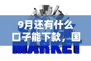 9月还有什么口子能下款，国内五大2025最新不上征信得网贷平台下载