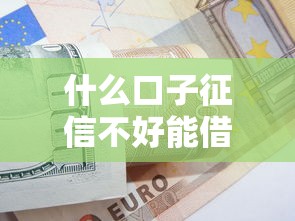 什么口子征信不好能借款，归纳5个2025最新现在可以借钱的平台