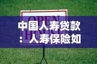 中国人寿贷款：人寿保险如何办理资金借贷服务