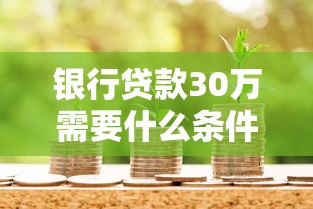 银行贷款30万需要什么条件：申请30万贷款需具备哪些资质