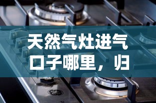 天然气灶进气口子哪里，归纳5个2025最新好过的网贷平台