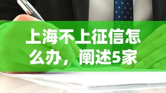 上海不上征信怎么办，阐述5家2025最新1000口子秒下