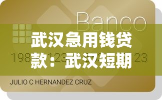 武汉急用钱贷款：武汉短期资金周转最快解决方案