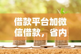 借款平台加微信借款，省内五个2025最新拍拍贷类似的贷款平台