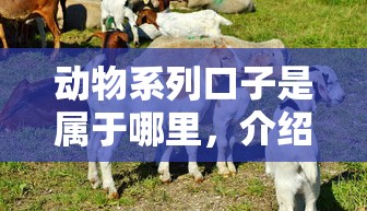 动物系列口子是属于哪里，介绍五个2025最新天际钱袋口子入口