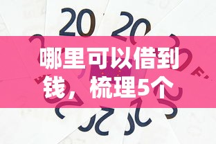 哪里可以借到钱，梳理5个2025最新黑户必过的贷款平台