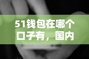 51钱包在哪个口子有，国内五大2025最新不查询征信网贷平台