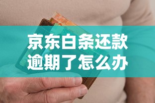 京东白条还款逾期了怎么办，整合5个2025最新正规平台可以借钱