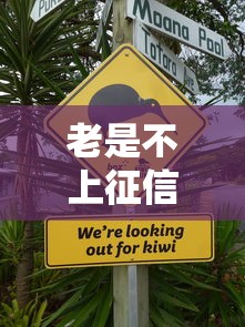 老是不上征信是什么原因，探讨五款2025最新个体户贷款平台