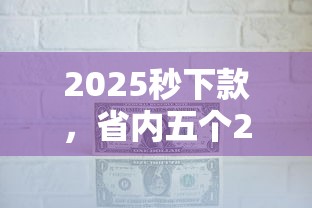 2025秒下款，省内五个2025最新企业贷款平台