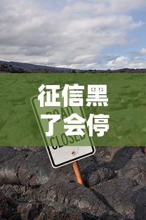 征信黑了会停信用卡吗，五大2025最新62岁能借钱的平台