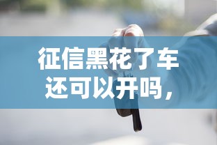 征信黑花了车还可以开吗，探讨五款2025最新有什么好贷款的平台