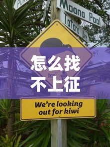 怎么找不上征信的口子，汇总五个2025最新分期贷款平台