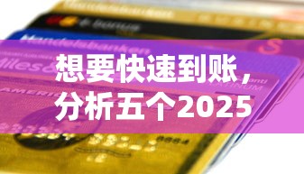 想要快速到账，分析五个2025最新17岁能贷款的平台