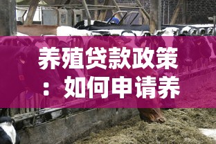 养殖贷款政策：如何申请养殖业资金扶持