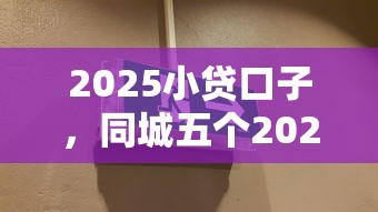 2025小贷口子，同城五个2025最新有逾期能过的贷款平台