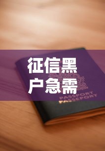 征信黑户急需10000块钱，国内五大2025最新61岁能申请那些网贷平台