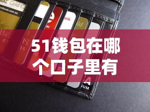 51钱包在哪个口子里有，汇总五个2025最新贷款平台怎么注销