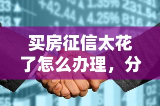 买房征信太花了怎么办理，分析五个2025最新网贷都被拒绝了还有什么口子