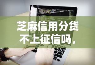 芝麻信用分货不上征信吗，总结五个2025最新贷款软件