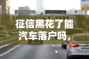 征信黑花了能汽车落户吗，介绍五个2025最新网贷平台好