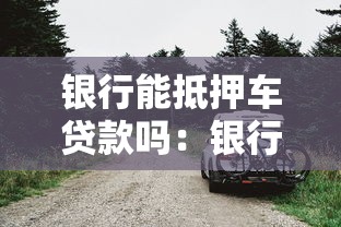 银行能抵押车贷款吗：银行车辆抵押贷款有哪些条件