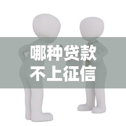 哪种贷款不上征信：哪些借款不会影响个人信用记录