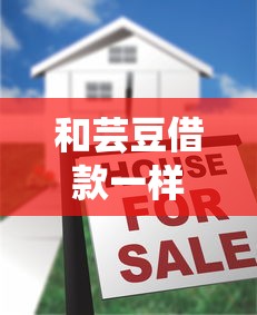 和芸豆借款一样的口子，国内五大2025最新高炮口子2025最新下款