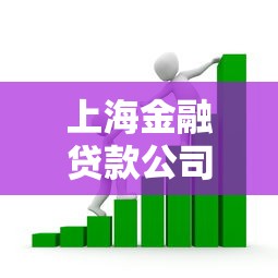 上海金融贷款公司：上海贷款机构如何选择最靠谱
