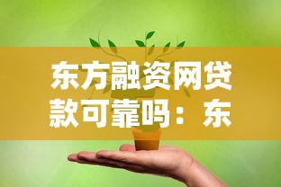 东方融资网贷款可靠吗：东方融资网贷款安全性如何