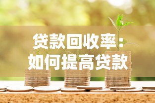 贷款回收率：如何提高贷款资金回笼效率